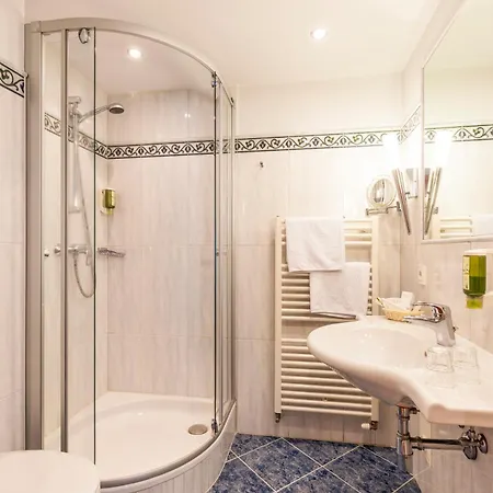 Weisser Hirsch Hotel 4*