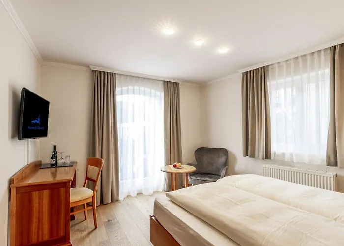 酒店 Weisser Hirsch